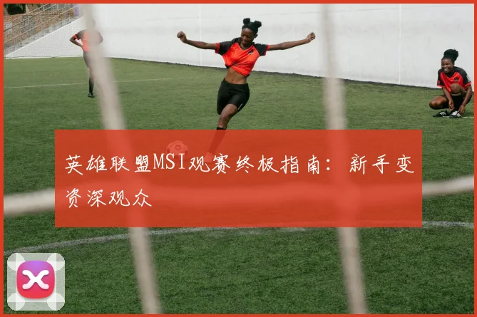 英雄联盟MSI观赛终极指南：新手变资深观众