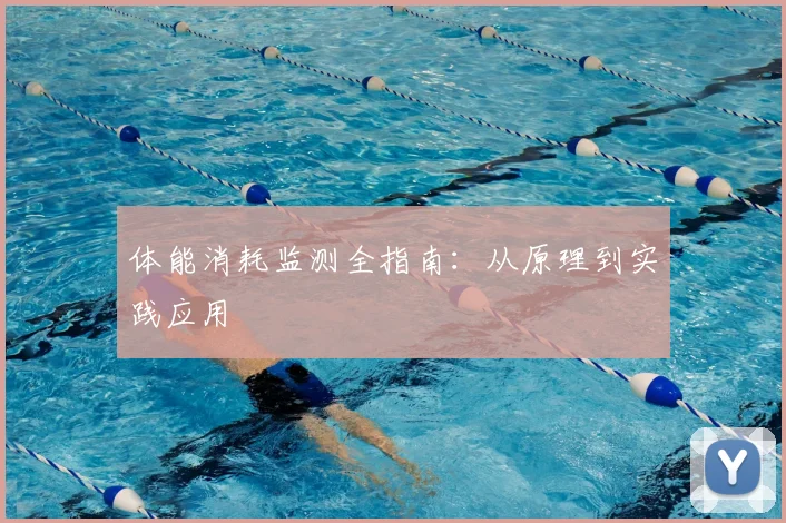 体能消耗监测全指南:从原理到实践应用